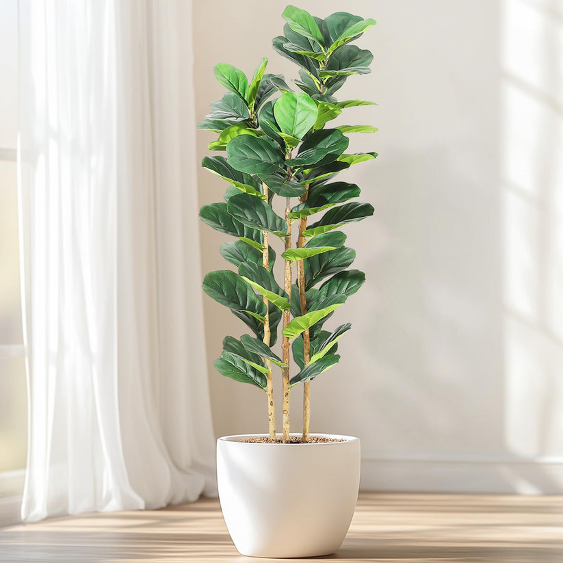Ficus lyrata artificiel vue d'ensemble